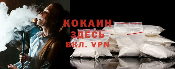 гашиш Богданович